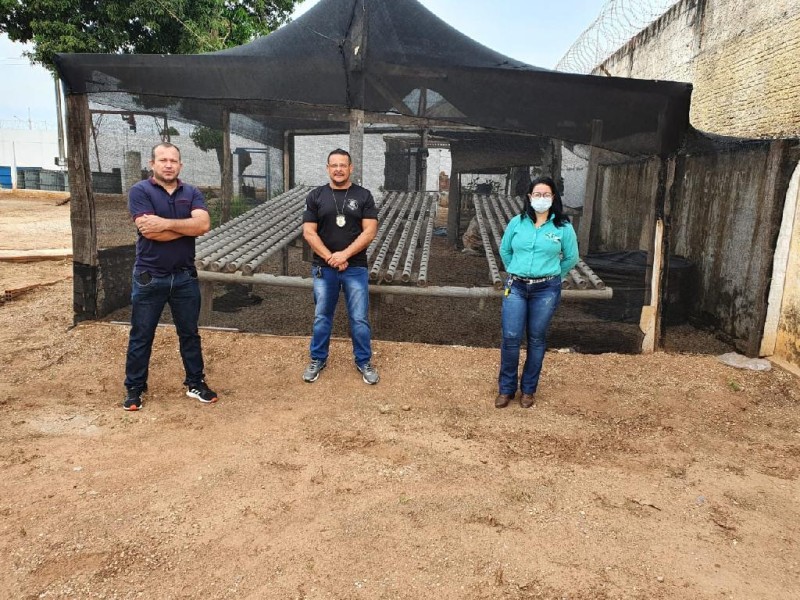 Horta hidropônica de Cadeia Pública é reativada com assistência técnica da Empaer