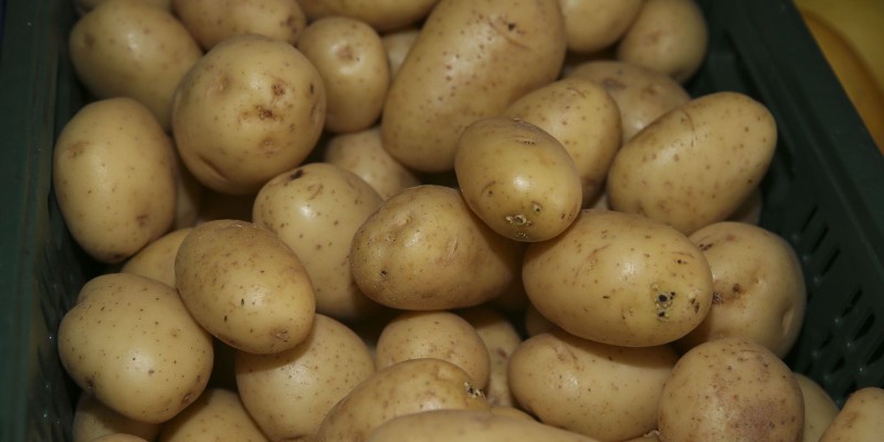 Conab: Programa Modernização do Mercado Hortigranjeiro tem 1º boletim