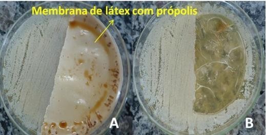 Governo de MT investe em pesquisa sobre biomembrana com produtos naturais para reparo de lesões na pele