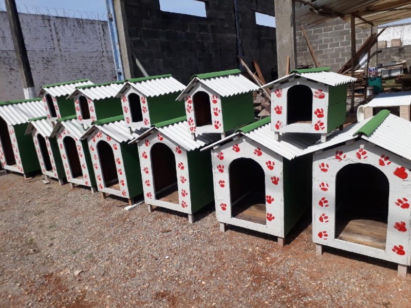 Reeducandos fabricam casas de pets de madeira para doar às instituições e famílias carentes