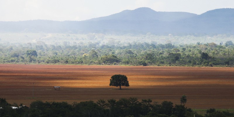 Especialistas discutem monitoramento e desmatamento do Cerrado