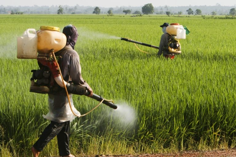 Projeto suspende norma do governo que simplifica registro de agrotóxicos