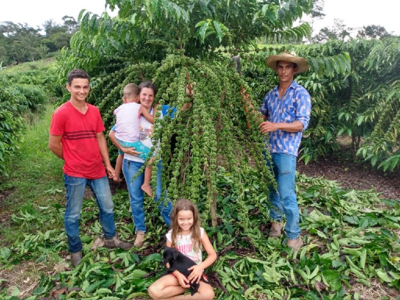 Manejo e adubação refletem em maior produção de café para agricultores de Cotriguaçu