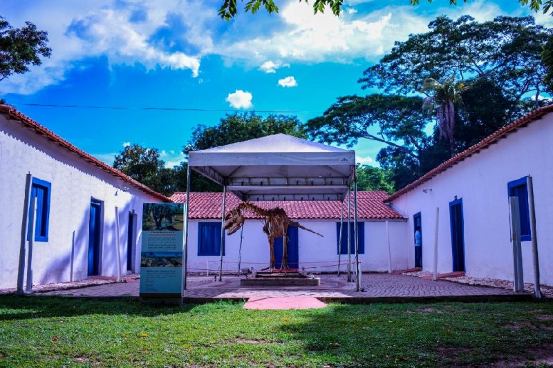 Exposição com esqueletos de animais do Pantanal é prorrogada até 13 de fevereiro