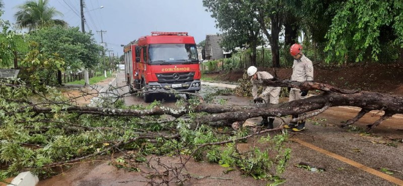 Corpo de Bombeiros registra mais de 100 ocorrências de queda de árvores em Mato Grosso