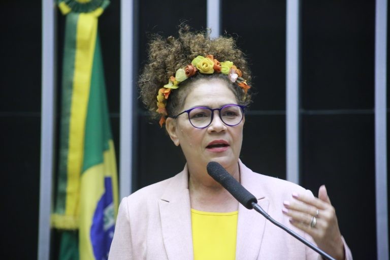 Ano será de desafios no Legislativo, avalia vice-líder da oposição