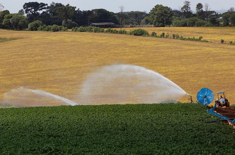 Comissão de Agricultura debate novas tecnologias em feira no Paraná