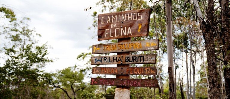 Projeto altera limites da Floresta Nacional de Brasília e cria parque nacional