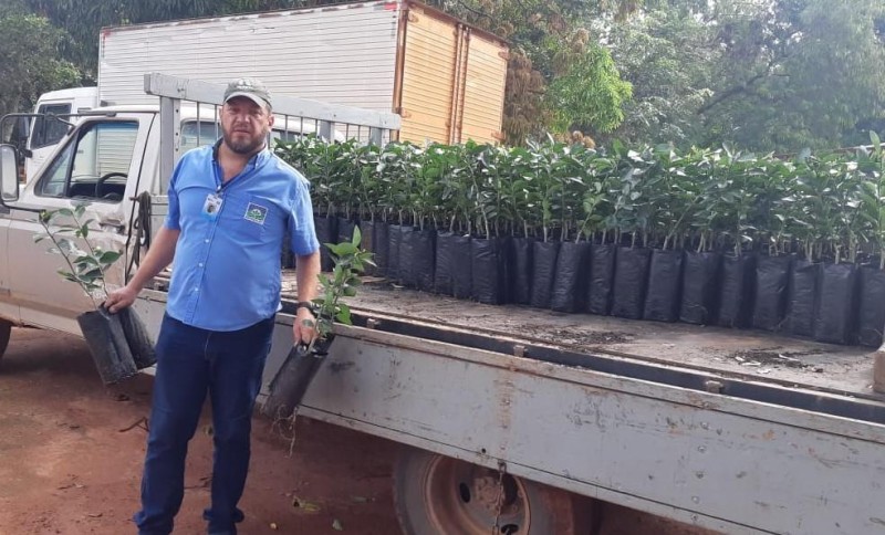 Governo auxilia agricultores na aquisição de mudas e manejo do solo para cultivo de limão Taiti