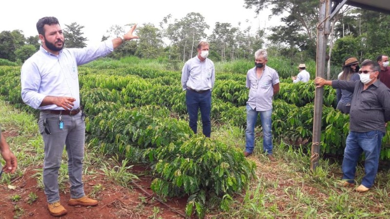 Encontro do Café reúne agricultores e empresários em Tangará da Serra