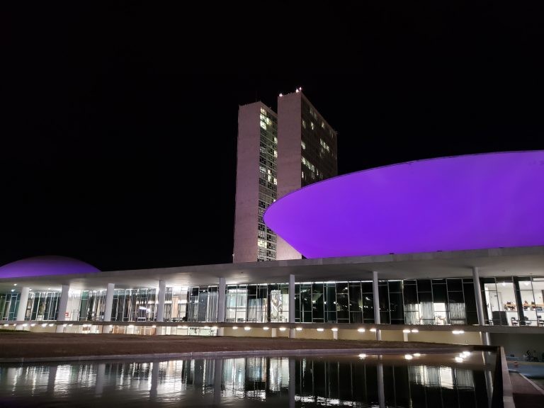 Congresso se ilumina de roxo em apoio ao Dia Internacional da Epilepsia