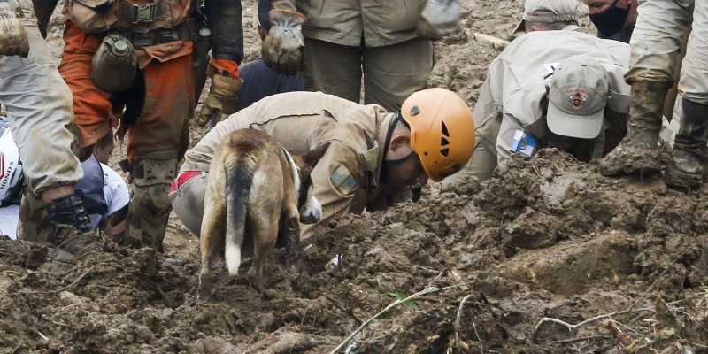 Mortes pelas chuvas em Petrópolis chegam a 120