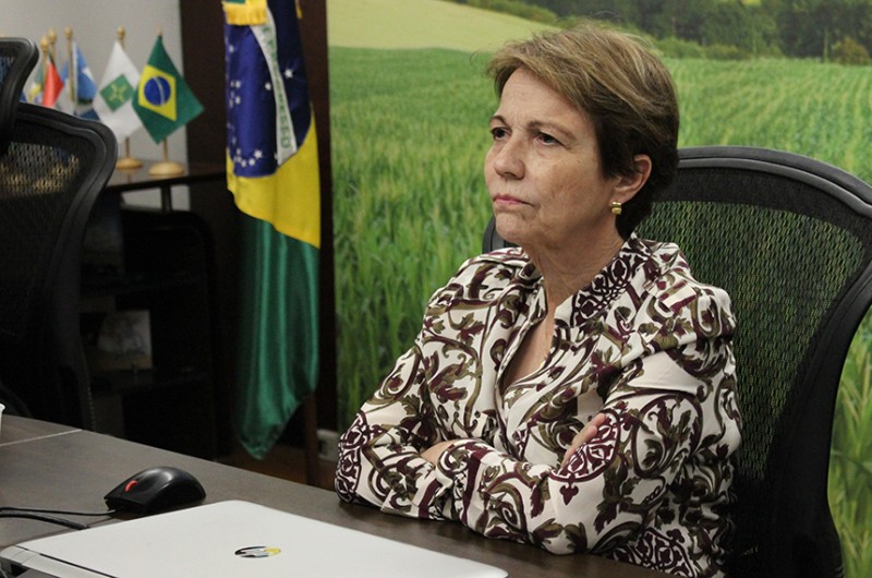 CMA pode convocar ministra da Agricultura para falar de negacionismo na pauta ambiental