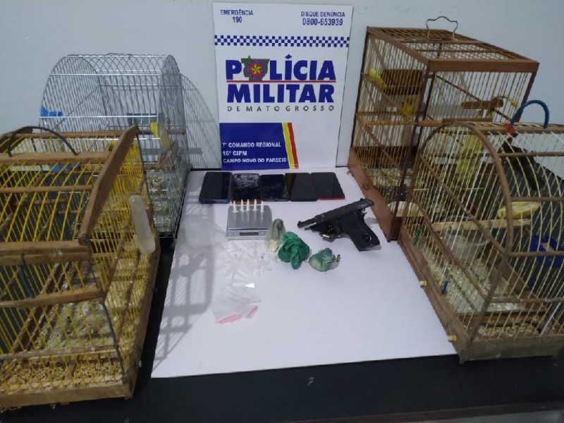 PM prende homem com drogas e resgata animais silvestres mantidos em cativeiro
