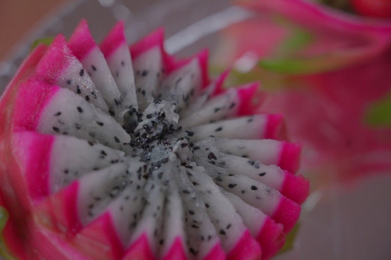 Produtores de Lucas do Rio Verde participam de encontro sobre pitaya em Tangará da Serra