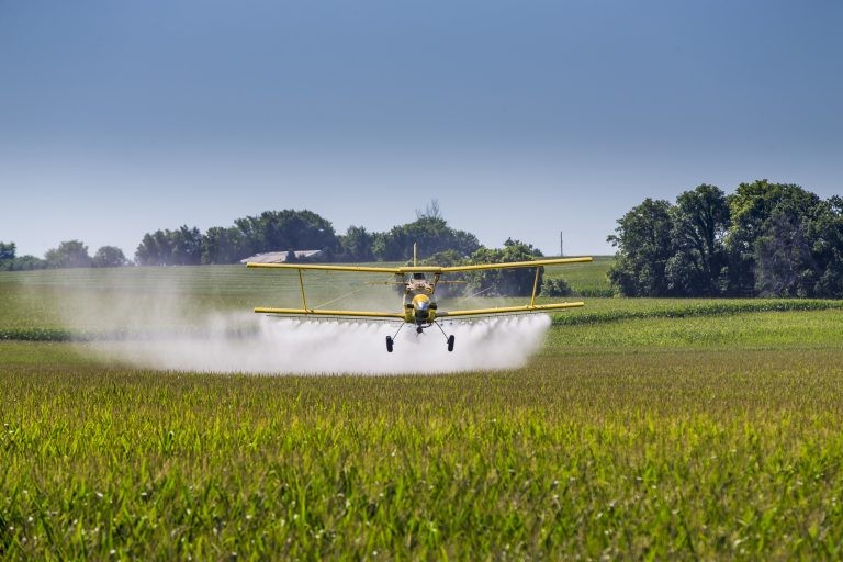 Projeto criminaliza falsificação e contrabando de agrotóxicos