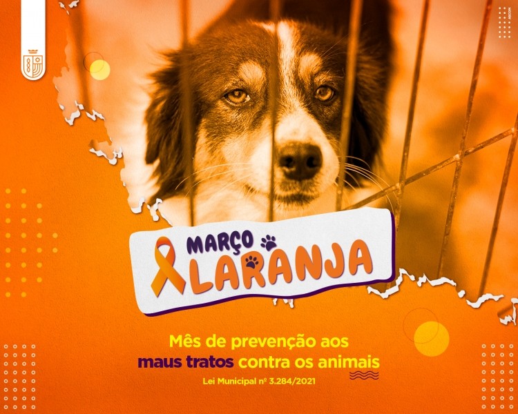 Março Laranja: Prefeitura de Lucas do Rio Verde atuará em mês dedicado à causa animal