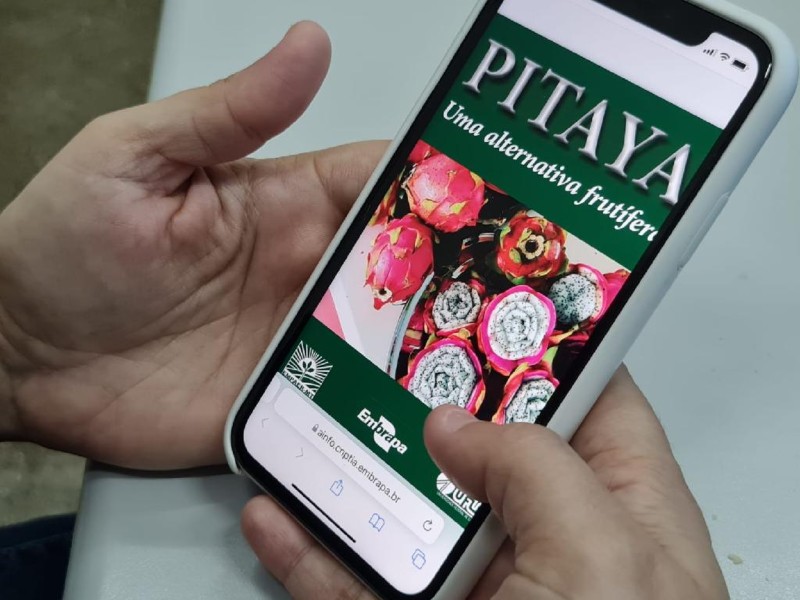 Livro digital da Pitaya é disponibilizado a produtores e técnicos de Mato Grosso e de outros estados