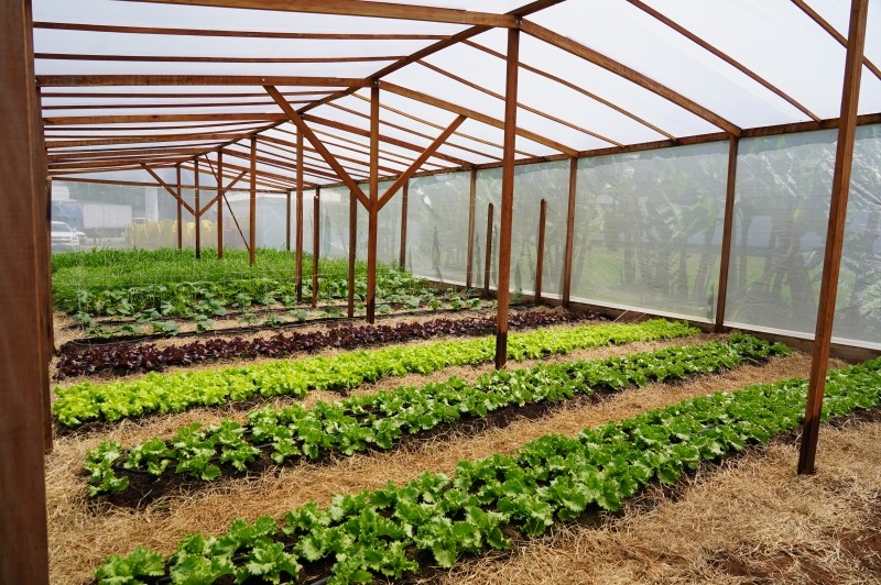 Show Safra 2022: Agricultura Familiar é foco da programação da Prefeitura