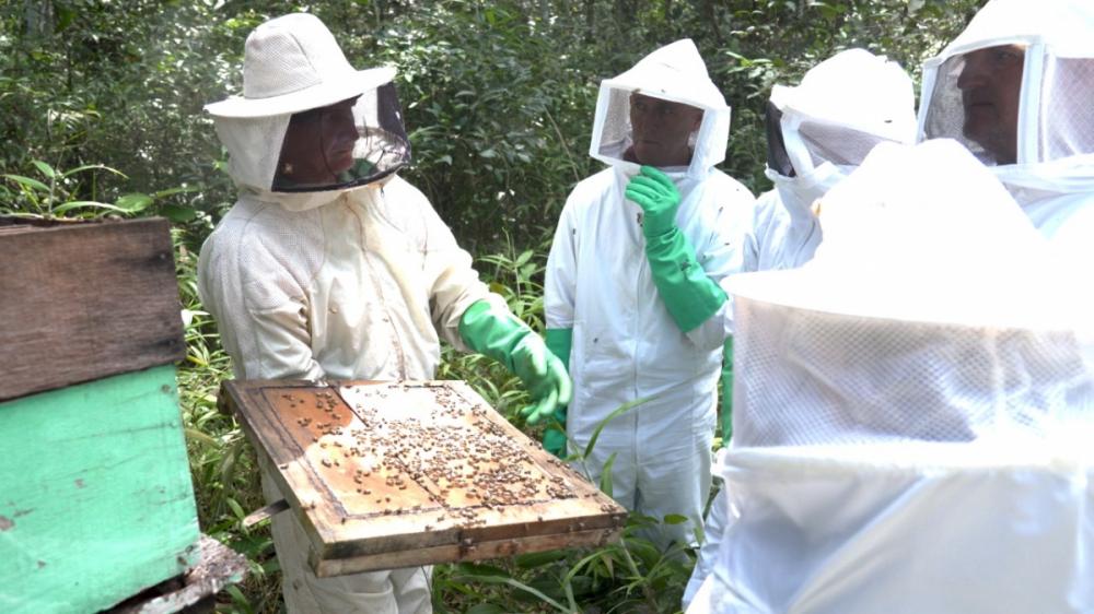 Pequenos produtores são capacitados em encontro técnico sobre práticas de apicultura 