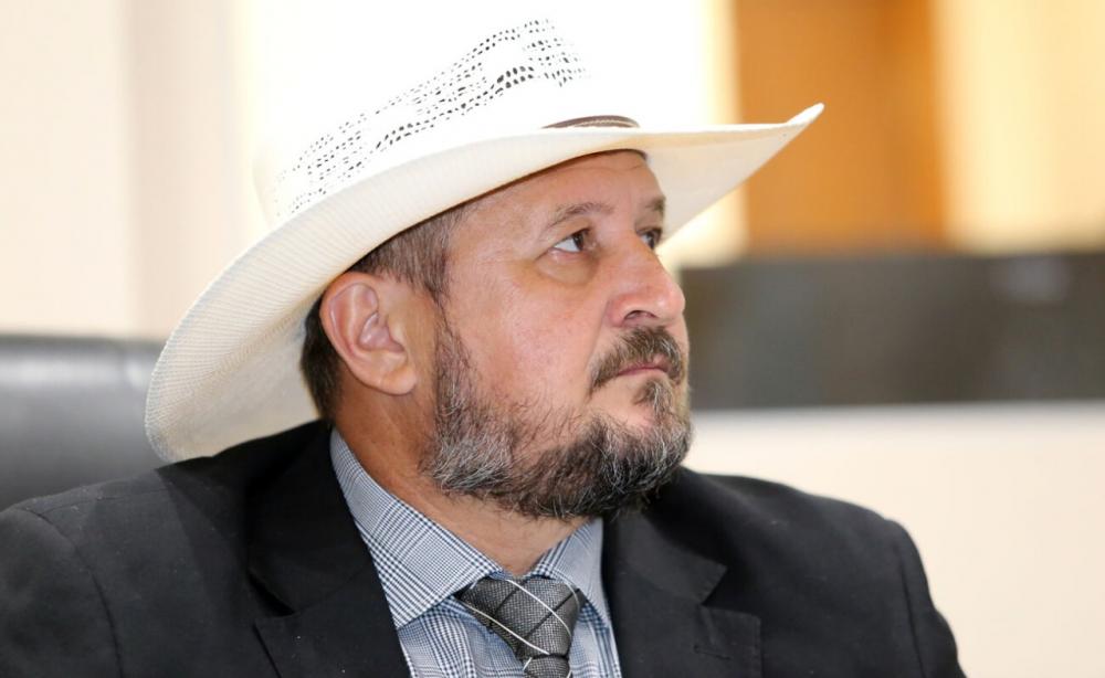 Cattani propõe autorização de porte de arma para mulheres sob medidas protetivas e advogados