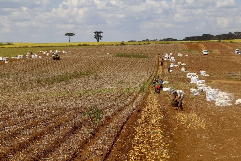 Governo edita medida provisória para liberar R$ 1,2 bilhões a agricultores atingidos pela seca