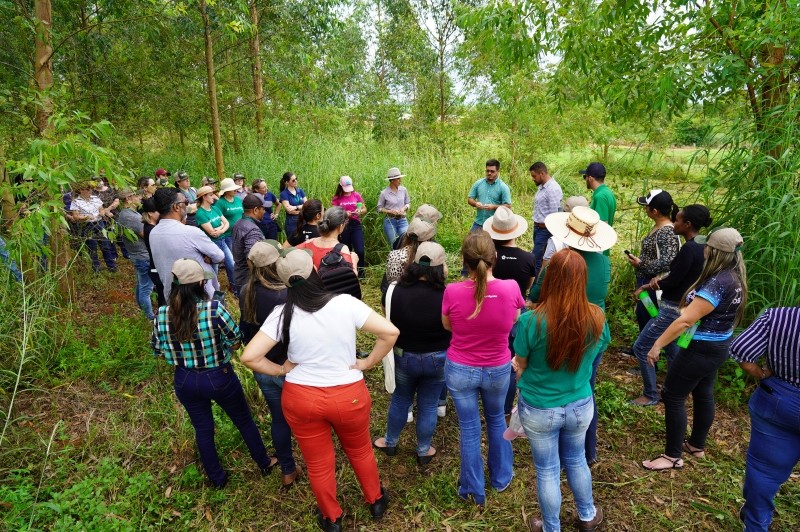 Projeto educacional incentiva estudantes a valorizar a agropecuária em Lucas do Rio Verde