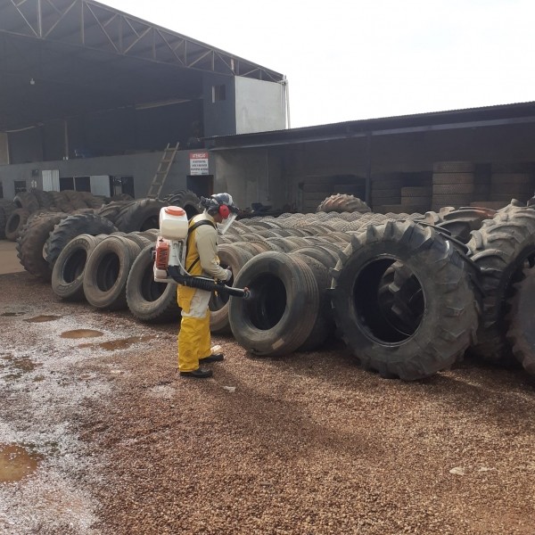 Casos de dengue têm mais de 700 notificações em Lucas do Rio Verde