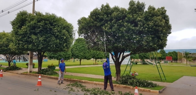Prefeitura publica edital de credenciamento para contratar empresa especializada em poda de árvores