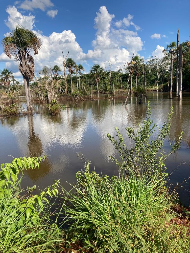 Comitê de Bacia Hidrográfica do Rio Sepotuba monitora Córregos urbanos de Tangará da Serra