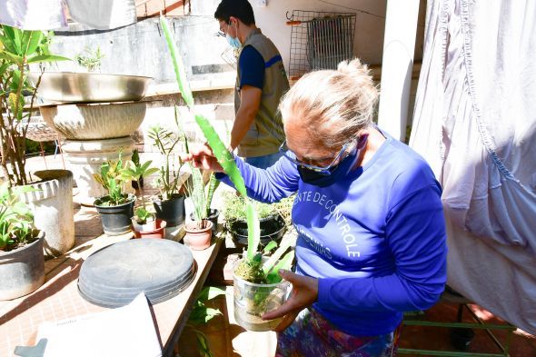 Secretaria de Saúde alerta para riscos de dengue no período chuvoso