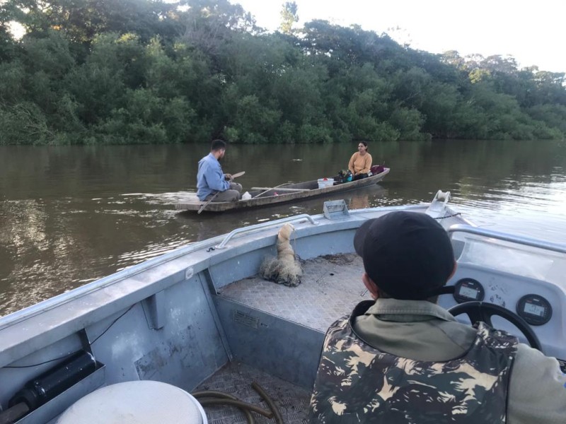 Sema e PM devolvem ao Rio Cuiabá 500 peixes apreendidos em fiscalização ambiental