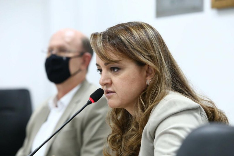 "Separar o que é abertura de área legal do ilegal é estratégico para a efetividade da fiscalização", afirma secretária de Meio Ambiente