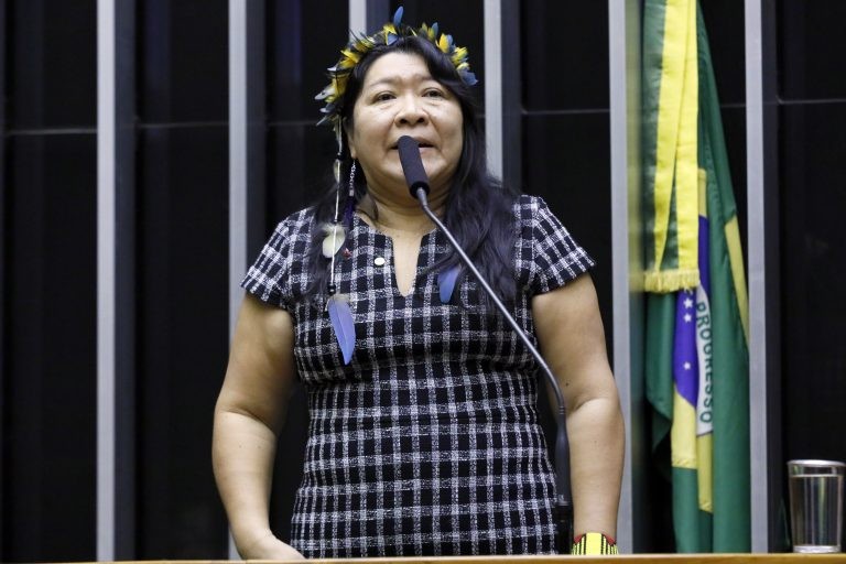 Comissão debate mudança nos limites do Parque Nacional Mapinguari