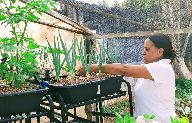 Escola estadual desenvolve projeto que reutiliza água da criação de peixes para cultivo de hortaliças