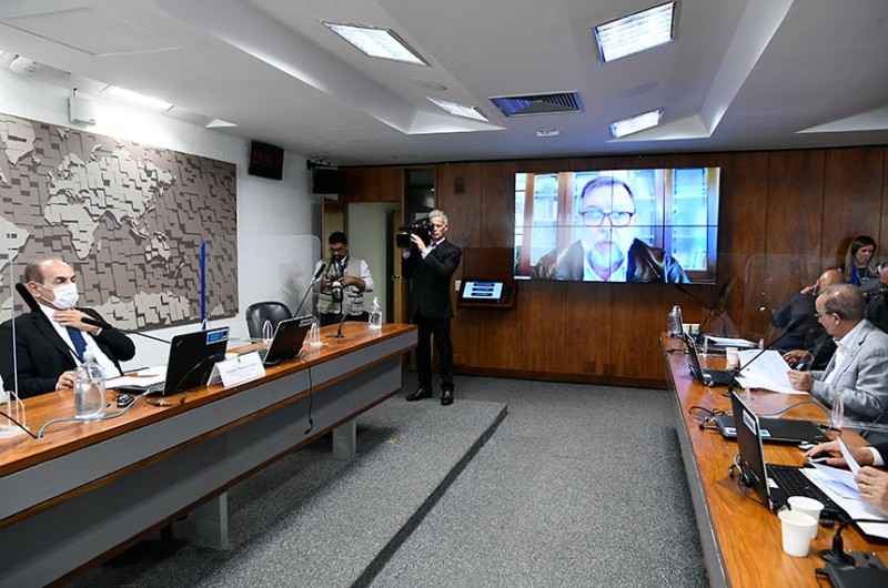 Líder do feminismo negro pode virar heroína da Pátria