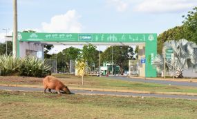Defesa Civil convida população para observar o eclipse lunar que acontece nesse domingo (15/05) no Parque Tia Nair