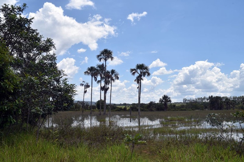 Comissão de Agricultura vai analisar liberação de reservatórios em APPs