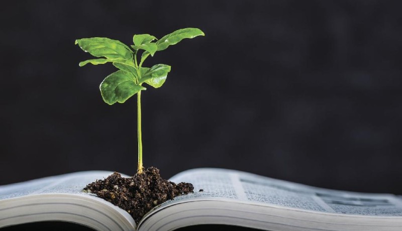 Seduc lança edital para seleção de projetos de educação ambiental e sustentabilidade