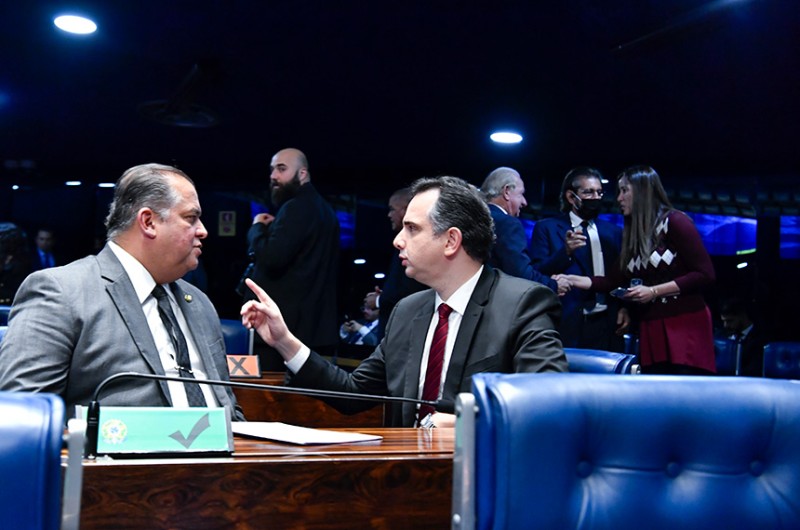 Regulamentação do controle de insetos e pequenos animais volta à Câmara