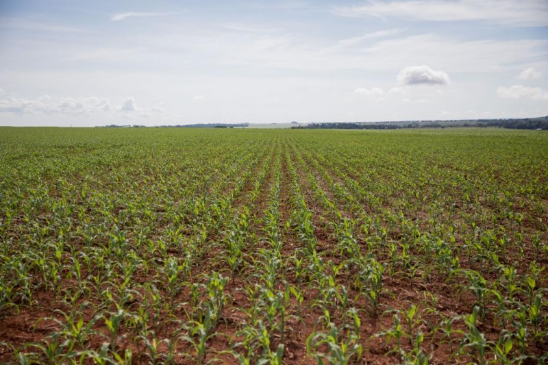 FCO oferta R$ 546,8 milhões em linhas de crédito para empresários e produtores rurais de MT