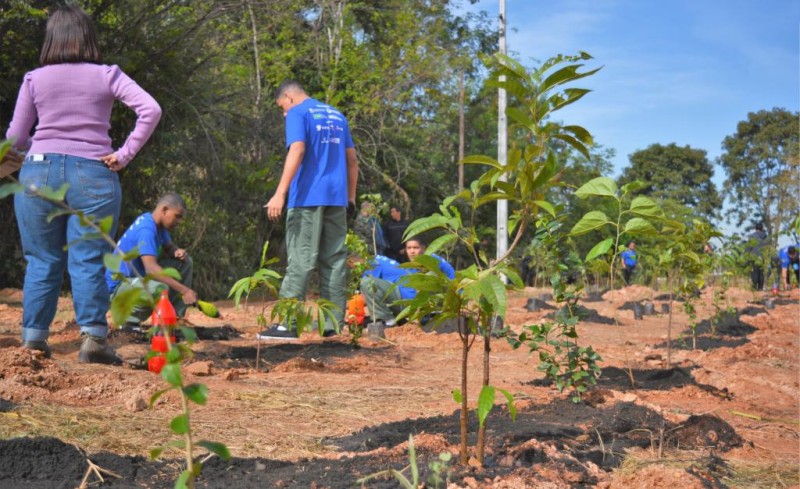 Adolescentes participam de projeto para recuperação da nascente do Parque das Águas