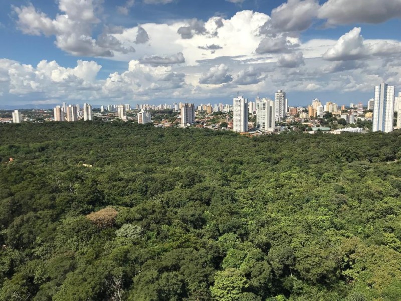 Governo lança Semana do Meio Ambiente no próximo domingo (05) com entrega do 1º Selo Carbono Neutro MT