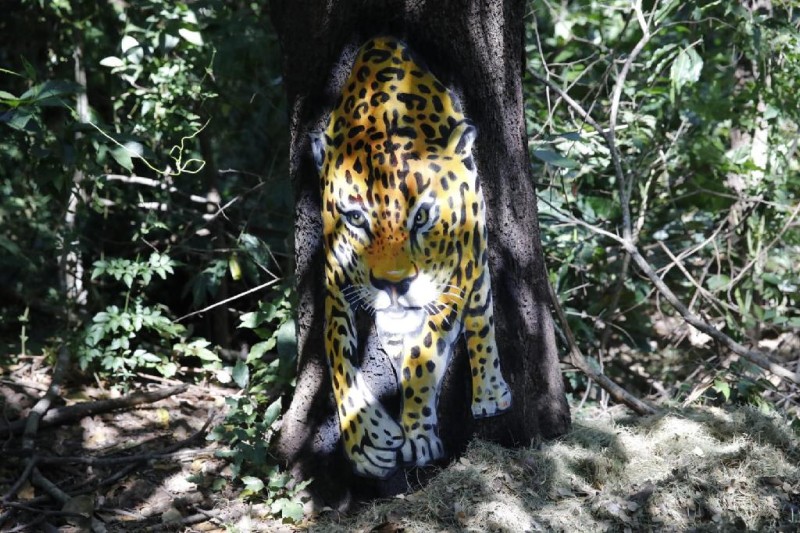 Obras de arte do artista Victor Hugo tomam conta das trilhas do Parque Mãe Bonifácia