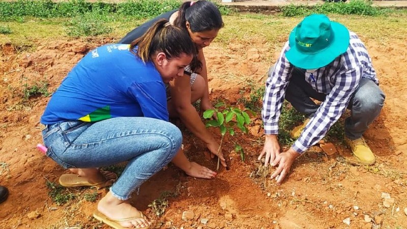 Estudantes colocam em prática projeto de revitalização da Vila Roda d´Água, em Nobres
