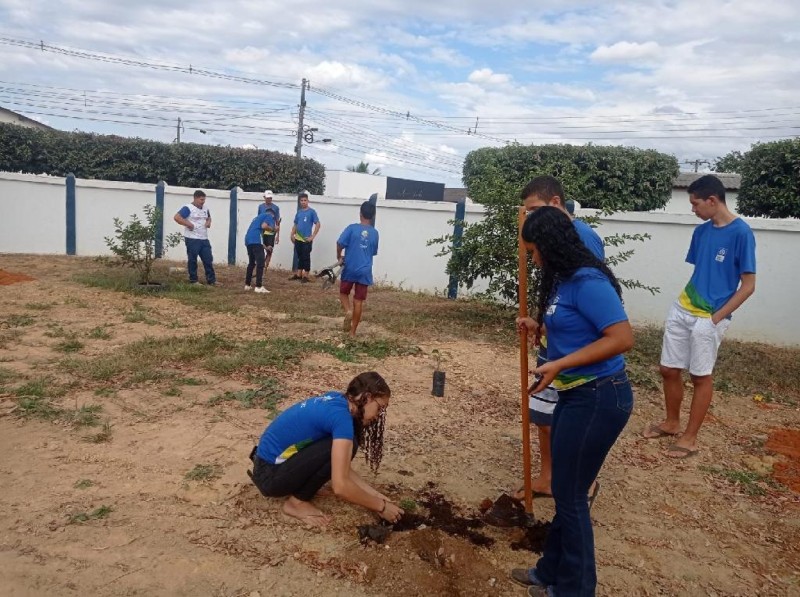 Alunos plantam árvores para sensibilizar comunidade sobre a preservação ambiental