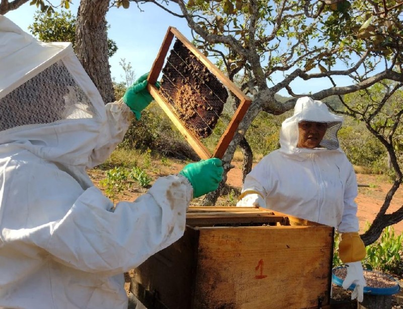 Empaer promove Encontro de Apicultura em Chapada dos Guimarães