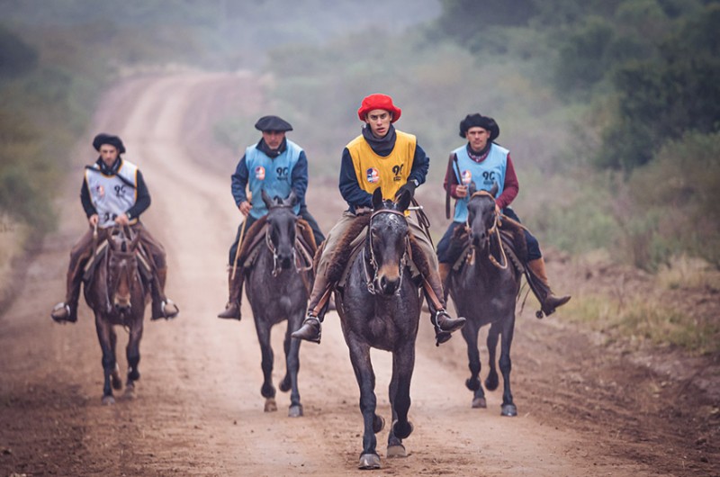Lei que reconhece Marcha do Cavalo Crioulo como manifestação cultural é sancionada
