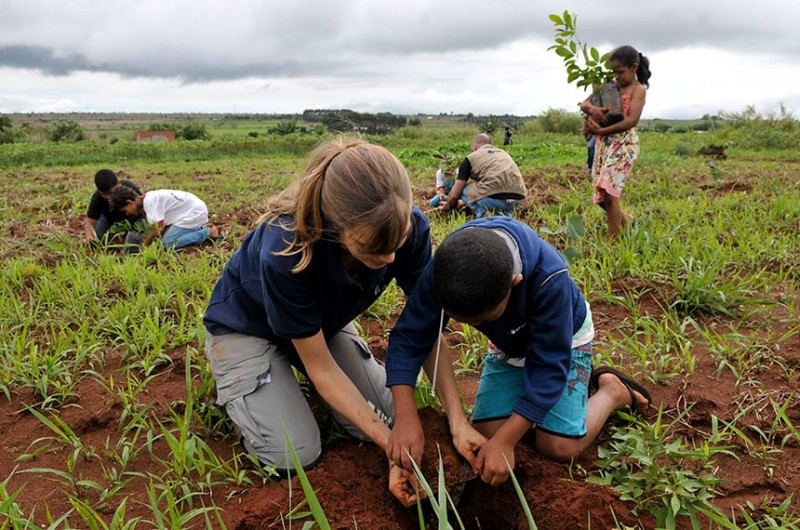 Campanha Junho Verde passa a fazer parte da Política Nacional de Educação Ambiental