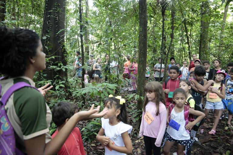 Lei institui campanha Junho Verde, para conscientização ambiental